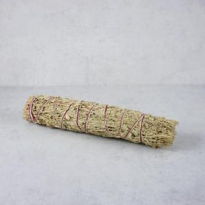 Wüstenbeifuß 22 cm 